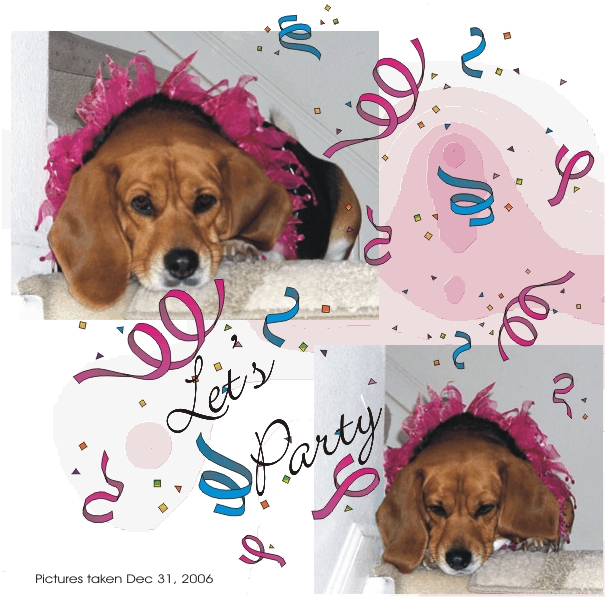 Betty Beagle - Happy New Year