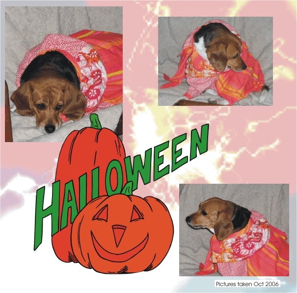 Betty Beagle - Halloween Clown