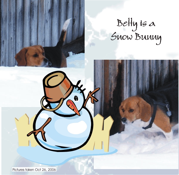 Betty Beagle - a snow bunny