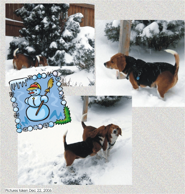 Bill & Betty love to play in the snow