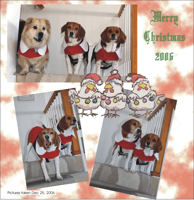 Merry Christmas - Billy, Betty & Lucky
