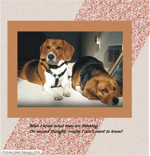 What are Betty Sue & Billy Bob thinking?