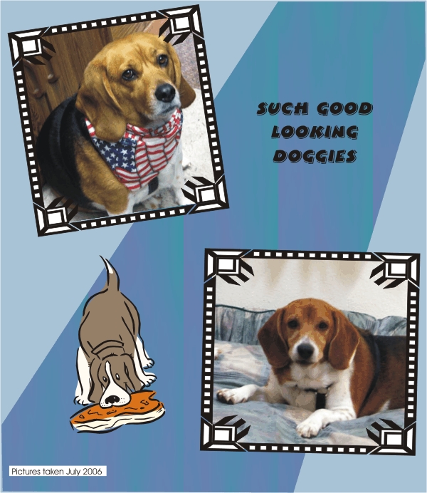 Such good looking beagles - Betty & Billy