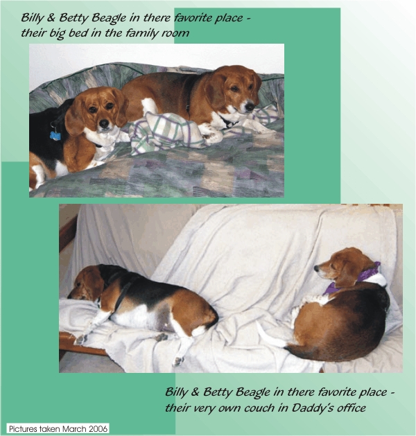 Betty & Billy sure do sleep a lot