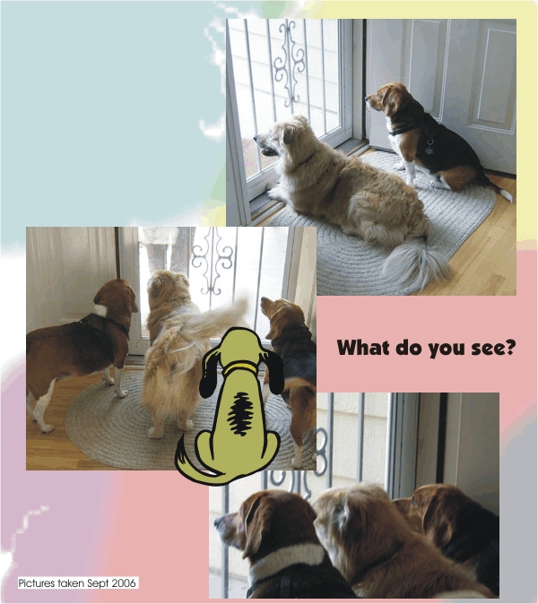 Billy Beagle & Betty Beagle, what di you see?