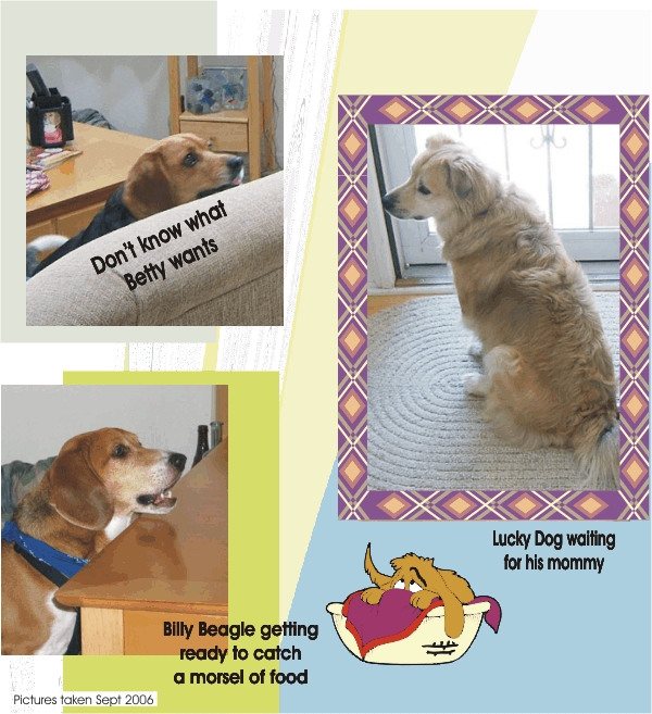 Billy, Betty & Lucky just waiting, waiting & waiting