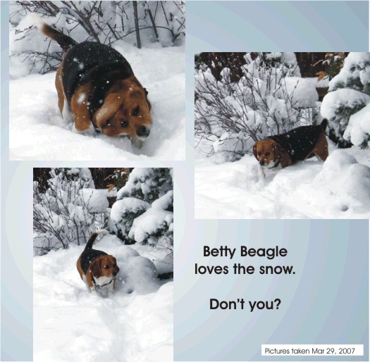 Betty Beagle loves the snow.  Don't you?