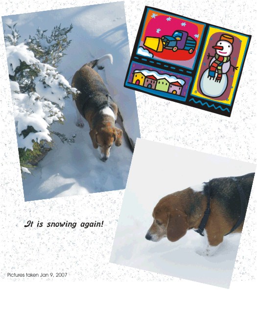 Will I ever see my back yard again???