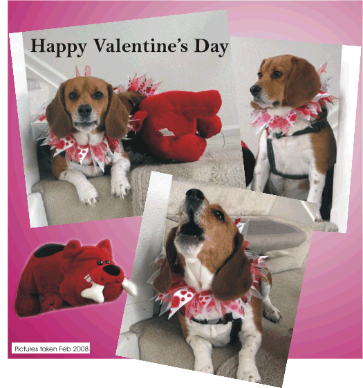 Happy Valentine's Day