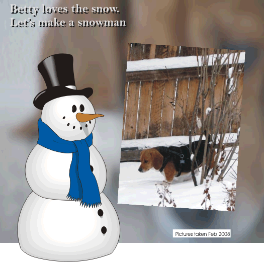 Betty loves the snow.  Let's make a snowman