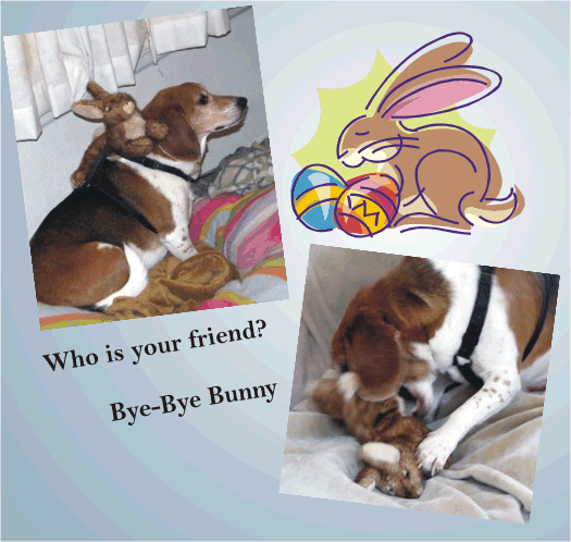 Bye-Bye Bunny -- Happy Easter Billy Beagle