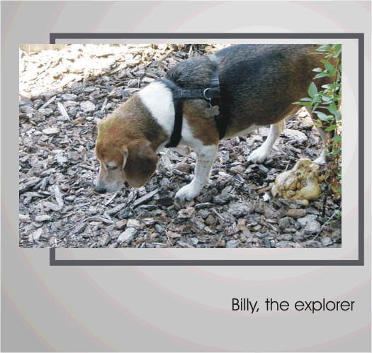 Billy Beagle the great explorer