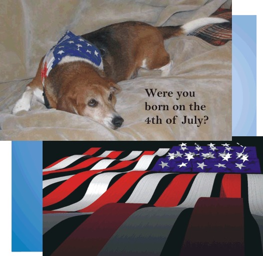 Billy Beagle -- Were you born on the 4th of July?