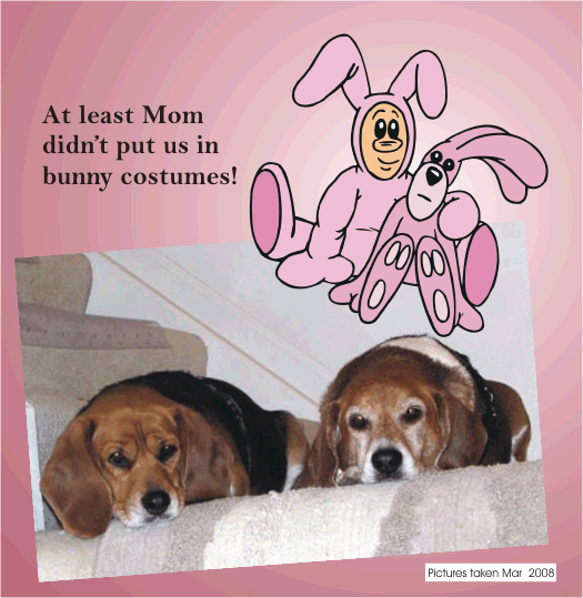 At Least Mom, Didn't put us in bunny costumes!