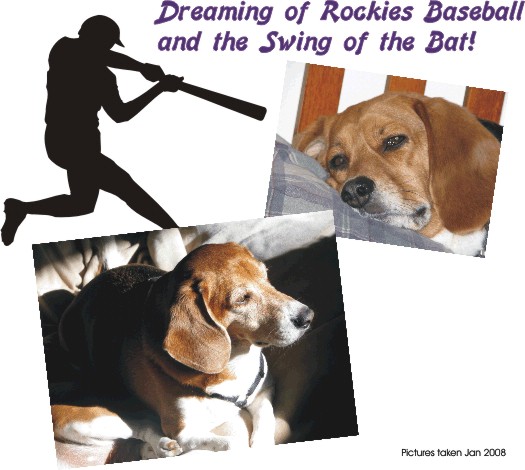 Ready for Baseball - Won't be long now