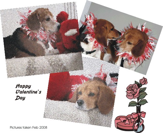 Happy Valentine's Day 2008