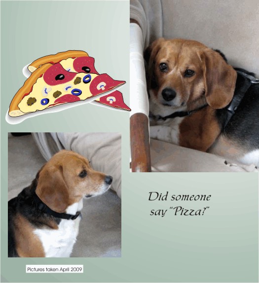 Did someone say pizza?