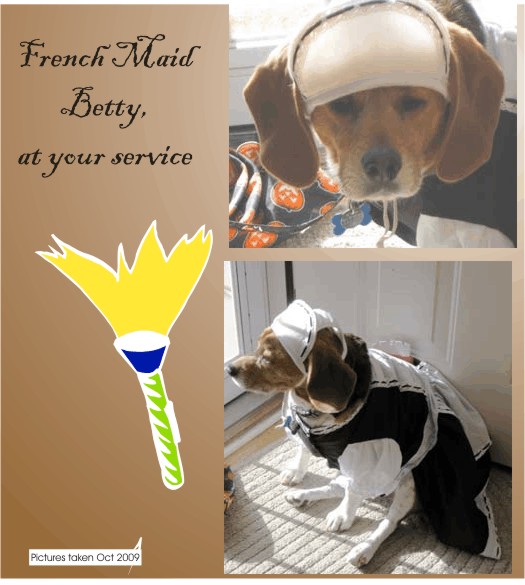 Betty Beagle, french maid at your service