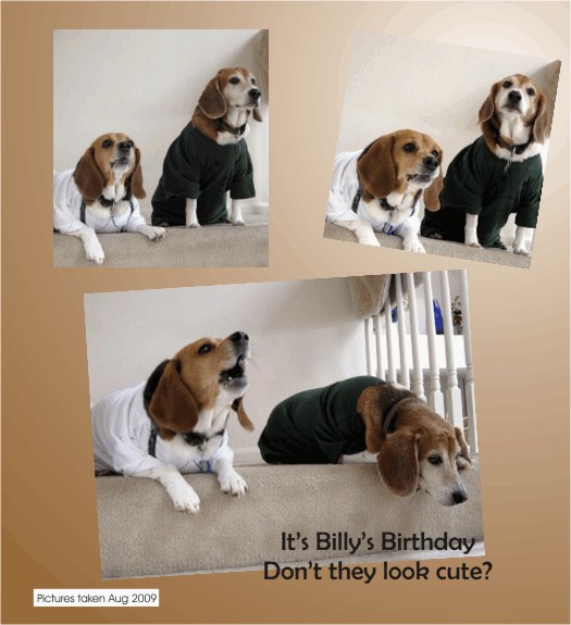 Happy birthday Billy