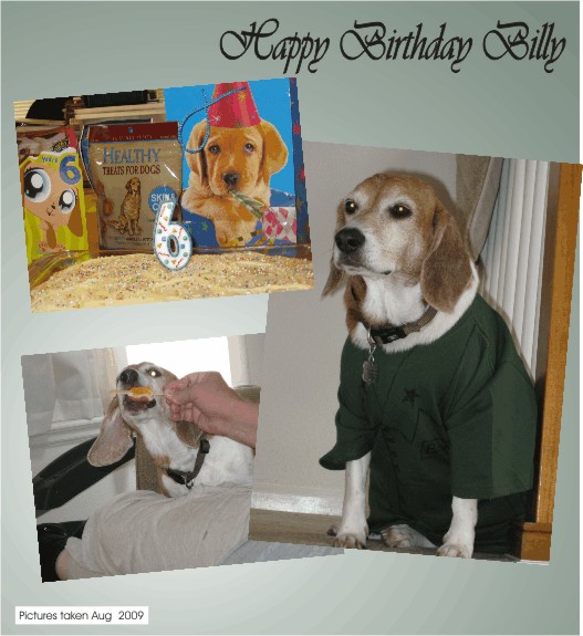 Happy #6 Birthday Billy