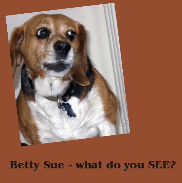 What do you see, Betty Sue Beagle?