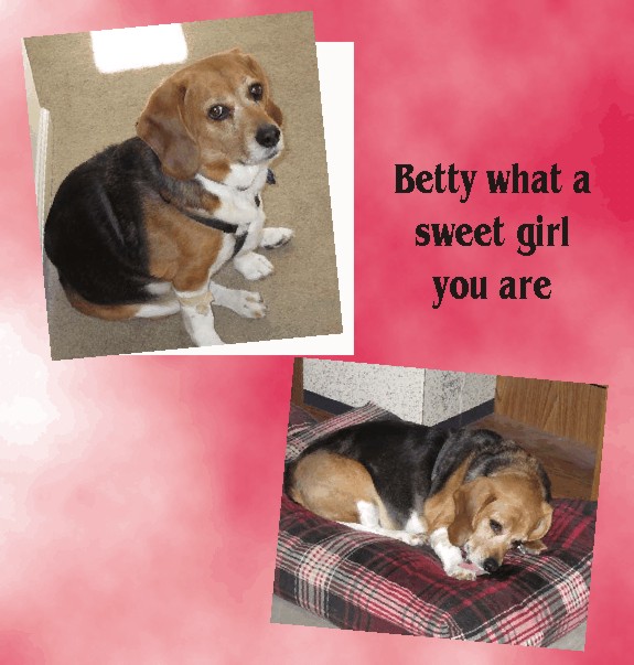 Betty Sue Beagle at her finest