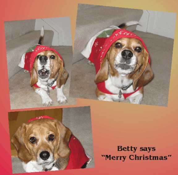 Betty Sue Beagle, "Merry Christmas"
