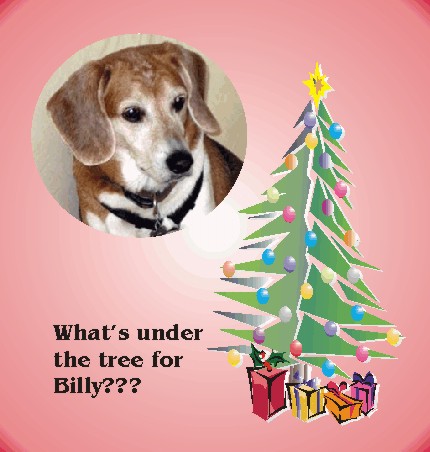 Billy Beagle, "what do I get for Christmas?"