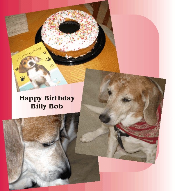 Happy Birthday Billy Bob Beagle