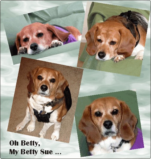 Oh Betty Sue, a new life is waiting in Texas