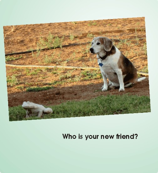 Billy Beagle --who is your new friend?
