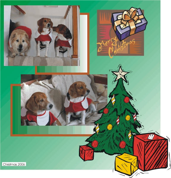 Billy, Betty & Lucky pose in their Santa outfits