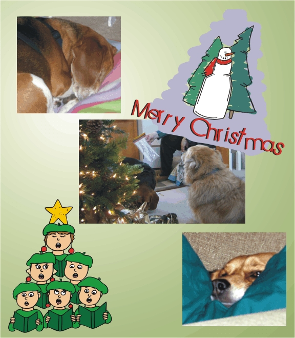 End of the Day for the Beagles & Lucky