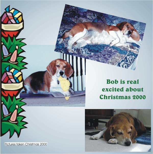 Bob Beagle is so excited about Christmas 2000