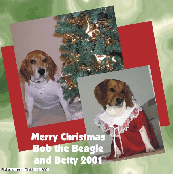 Christmas 2001 with Bob & Betty Beagle