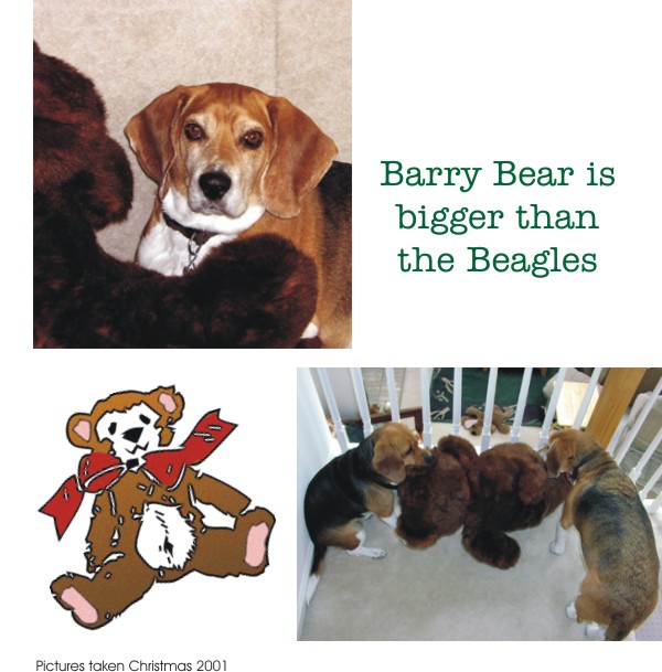 Betty & Bob learn to share their new big bear - christmas 2001