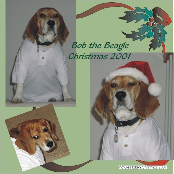 Handsome portraits of Bob Beagle, Christmas 2001