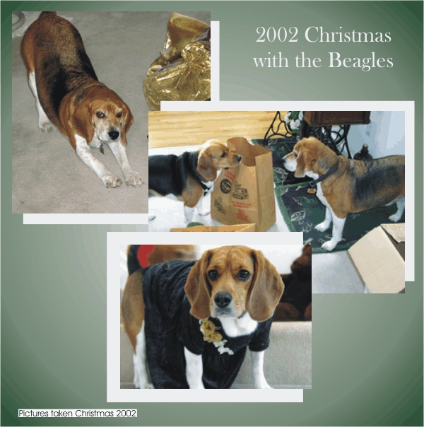 Betty Beagle & Bob Beagle love Christmas 2002