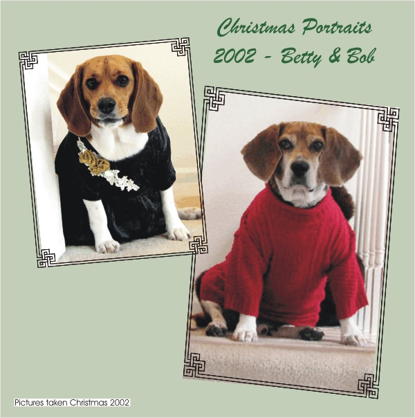 2002 Christmas Portraits - Betty Beagle & Bob Beagle