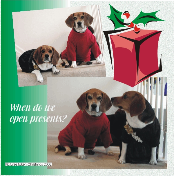 Bob the Beagle & Betty Beagle all dressed up for Chrismas 2002
