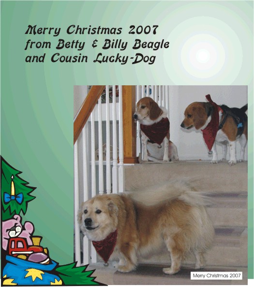 Merry Christmas 2007 from Billy & Betty Beagle & Cousin Lucky Dog