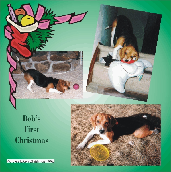 More pictures of Bob's first Christmas