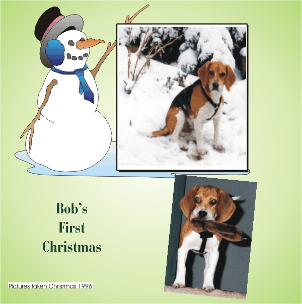 Our first beagle and his first Christmas
