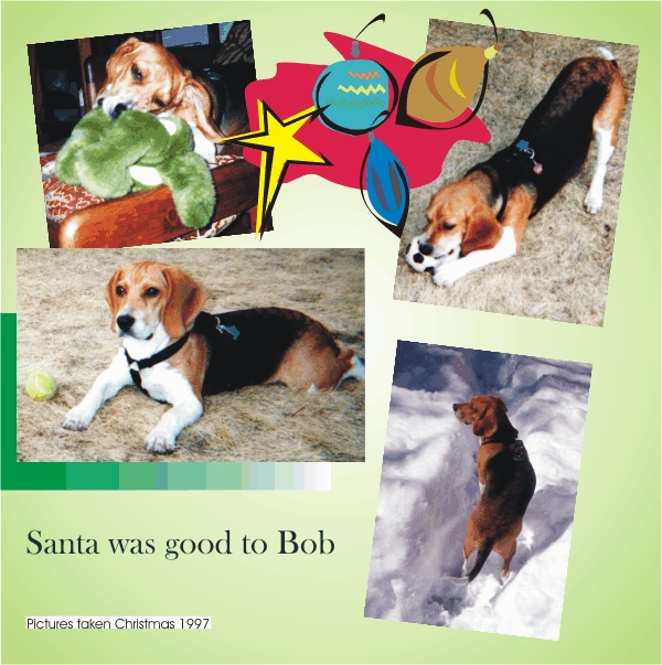 Bob the Beagle's Christmas in 1997