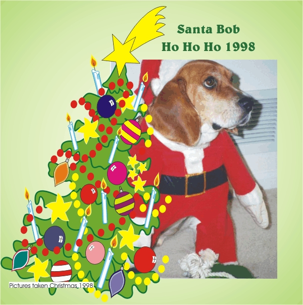 Say "hello" to Santa Bob the Beagle