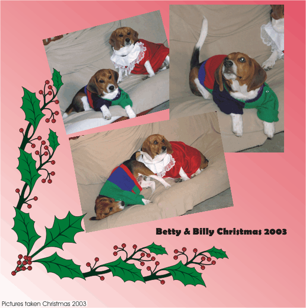 Billy Beagle & Betty Beagle, so festive in their Christmas clothes