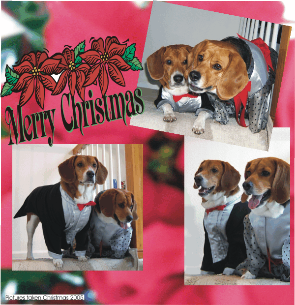 So Festive.  Billy in his Tux and Betty in her fancy gown