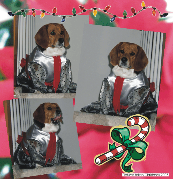 Betty Sue Beagle in her Christmas evening gown 2005