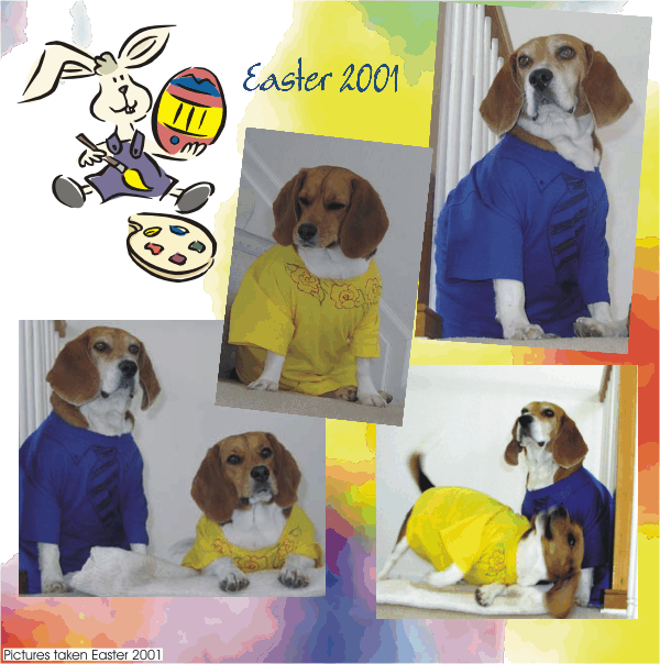 How cute Bob Beagle & Betty Beagle are all dressed up for Easter