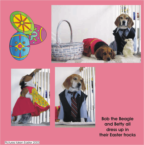 Betty Beagle & Bob Beagle ready to hunt Easter Eggs